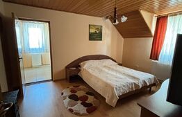 Casa cu destinatii multiple, 8900 mp teren, Vatra Moldovitei