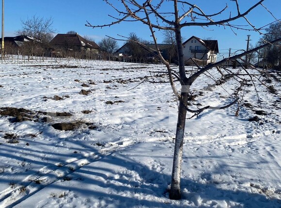 Casa de vânzare 4 camere Bosanci - 133994CV | BLITZ Suceava | Poza2