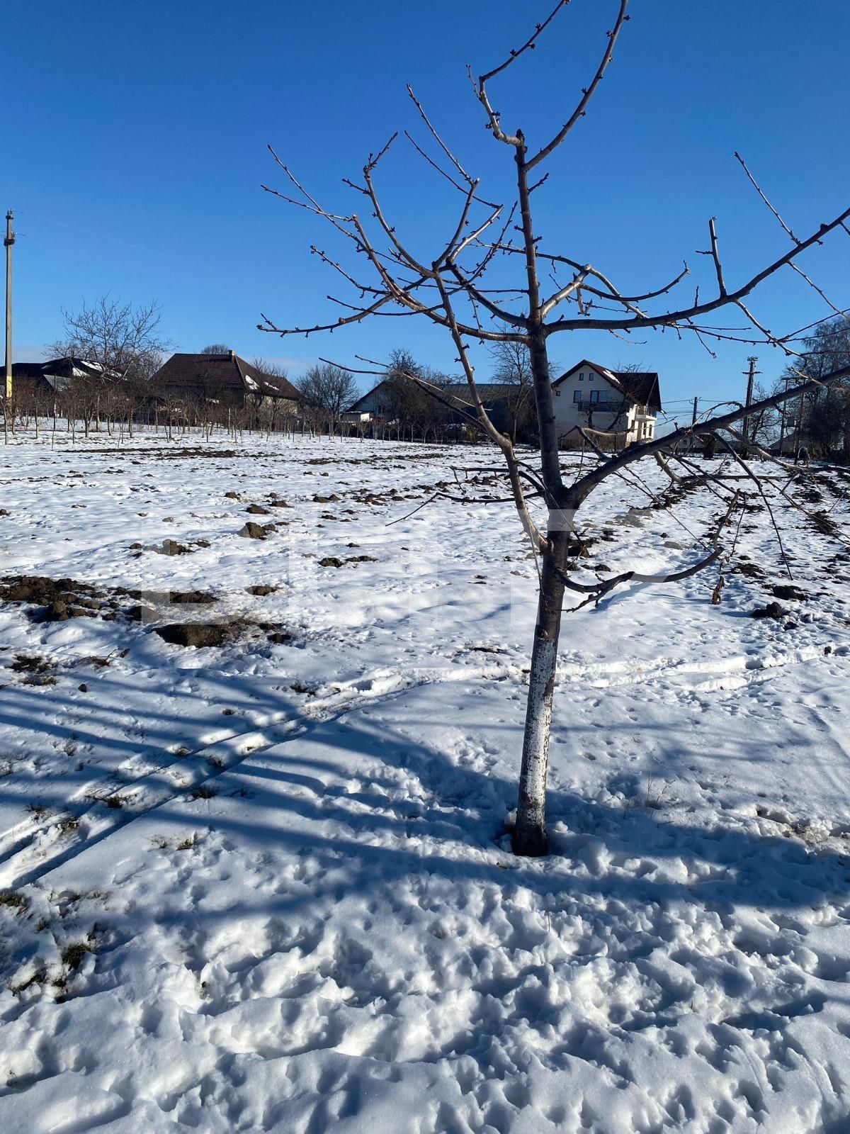 Casa de vânzare 4 camere Bosanci - 133994CV | BLITZ Suceava | Poza2