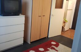 Garsoniera, 20 mp, etaj intermediar, zona George Enescu 