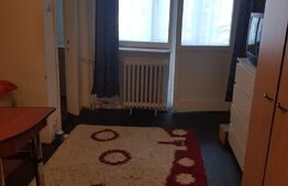 Garsoniera, 20 mp, etaj intermediar, zona George Enescu 