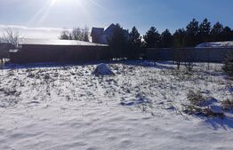 Teren Intravilan,Moara,700 mp