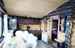 Cabană în zona de munte