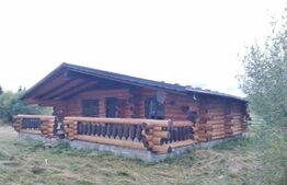 Cabană în zona de munte