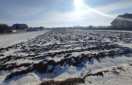 Teren Intravilan, Radauti, 3200 mp