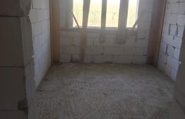 Casa la rosu Stroiesti