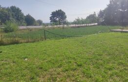 Casa la rosu Stroiesti