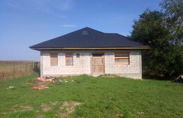 Casa la rosu Stroiesti