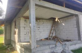 Casa la rosu Stroiesti