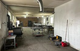 Complex industrial , 7300 mp teren , 3 x hale , sediu administrativ , zona Itcani 