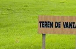 Teren Intravilan, Moara Nica, 3750mp