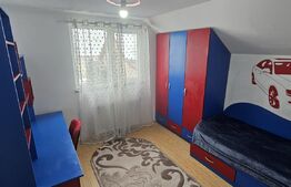 Oportunitate! Casa individuala zona centrala Radauti