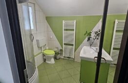 Oportunitate! Casa individuala zona centrala Radauti