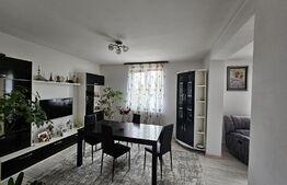 Oportunitate! Casa individuala zona centrala Radauti