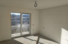 Case 120mp, Ipotesti