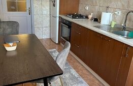 Microapartament modern, 42mp, zona George Enescu