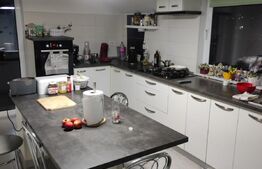 Casa 177mp si Hala 180mp, Mitocul Dragomirnei