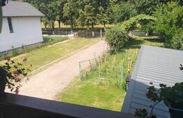 Casa 177mp si Hala 180mp, Mitocul Dragomirnei