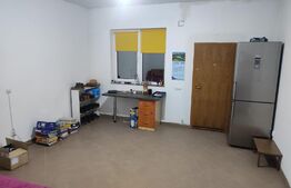 Casa 177mp si Hala 180mp, Mitocul Dragomirnei