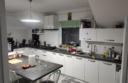 Casa 177mp si Hala 180mp, Mitocul Dragomirnei