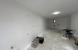 Cladire cu functiuni mixte ultracentral , Su-160 mp utili , anexa 30 mp , zona Palatului de Justitie 