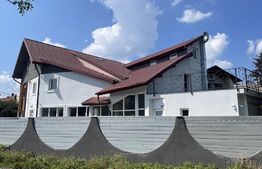 Spatiu comercial ultracentral Radauti