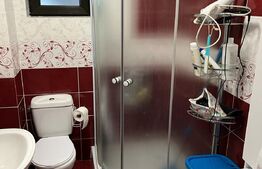 Casa individuala 4 camere 120 mp utili, 500 mp teren, mobilata Sfantu Ilie