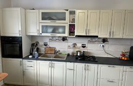 Casa individuala 4 camere 120 mp utili, 500 mp teren, mobilata Sfantu Ilie