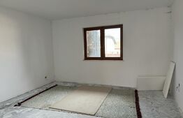 Casa individuala, in Costisa, Fratautii Noi