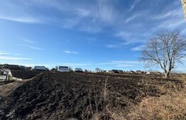 Casa individuala, in Costisa, Fratautii Noi