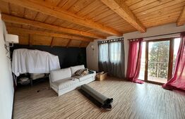 Casa individuala, in Costisa, Fratautii Noi