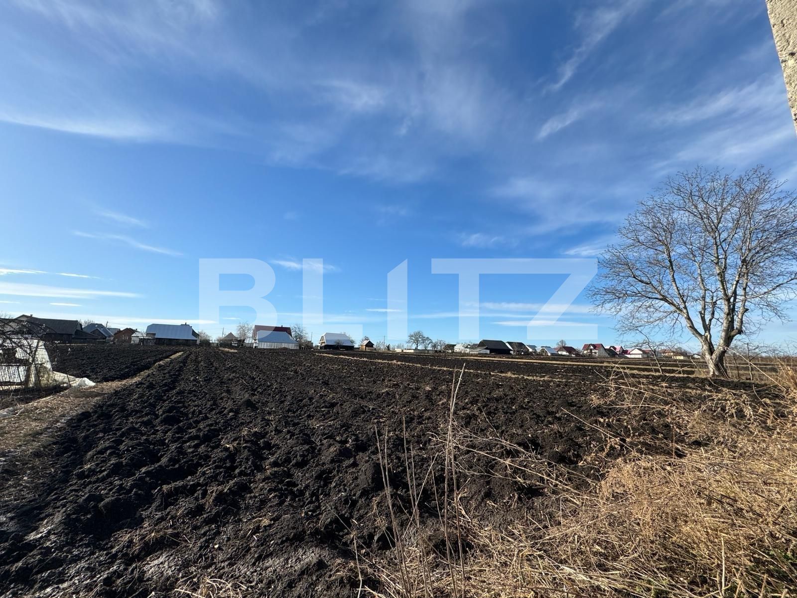 Casa de vânzare 6 camere Radauti - 135299CV | BLITZ Suceava | Poza14