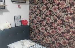 Casa tip Duplex, 156mp, Tisauti