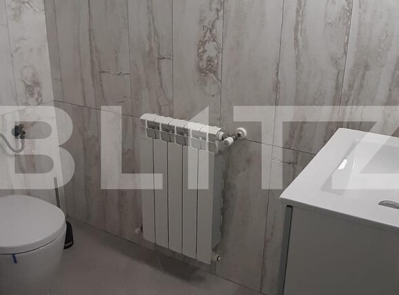 Spațiu comercial de închiriat Ipotesti - 135494SIC | BLITZ Suceava | Poza4