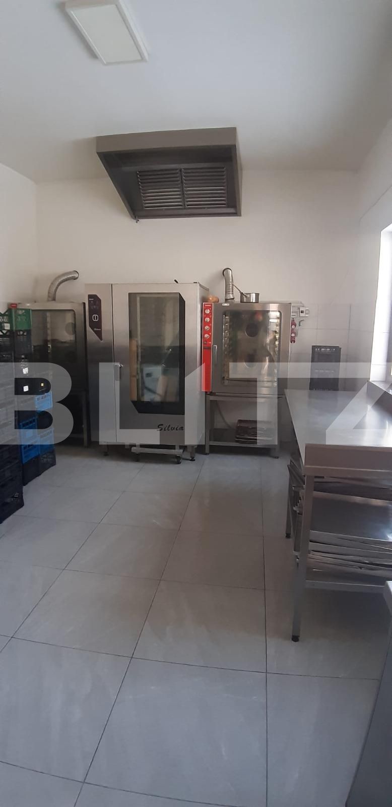 Spațiu comercial de închiriat Ipotesti - 135494SIC | BLITZ Suceava | Poza7