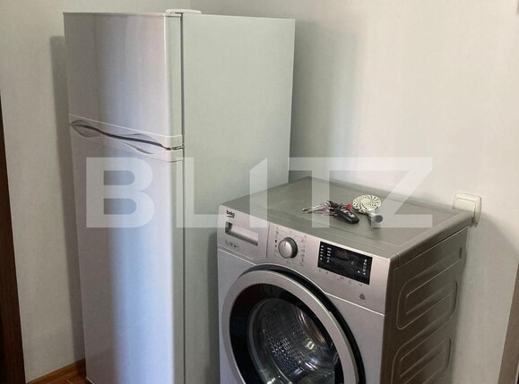 Garsonieră de închiriat Burdujeni - 135513AI | BLITZ Suceava | Poza4