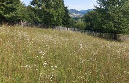 Teren Intravilan 989mp si Extravilan 7453mp, Manastirea Humorului