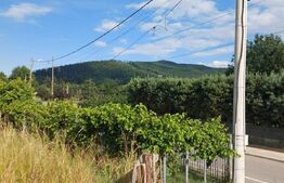 Teren intravilan 1300m Gura Humorului, Arinis