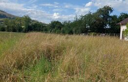 Teren intravilan 1300m Gura Humorului, Arinis