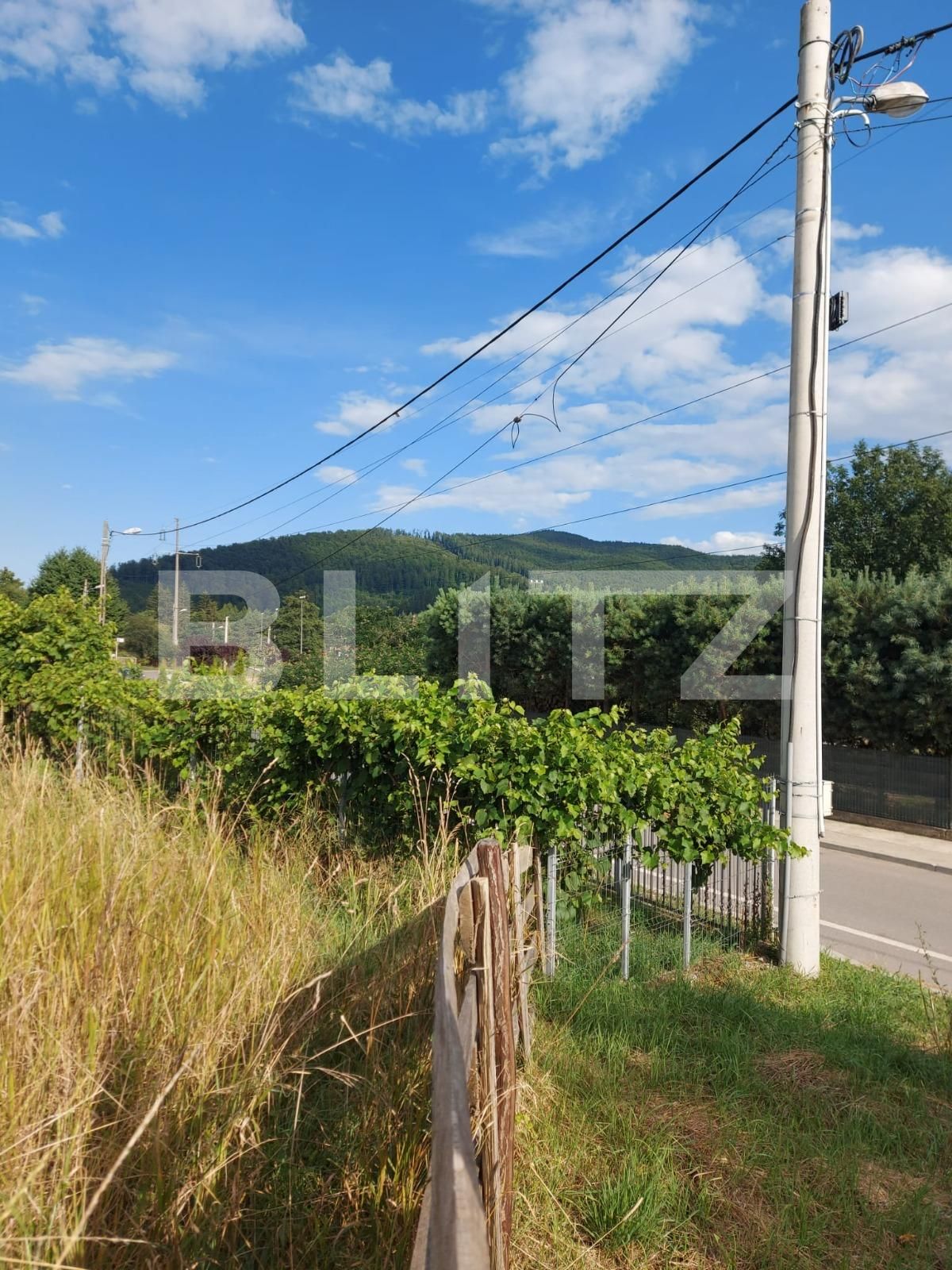 Teren de vânzare Gura Humorului - 135709TV | BLITZ Suceava | Poza2