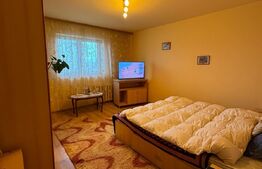 Garsoniera, 33mp, zona centrala, Radauti