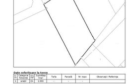 Teren intravilan 1000 mp Moara (Don Polski)