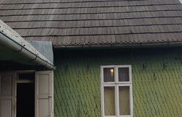 Casă cu teren 2500 mp în Putna