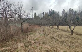 Casă cu teren 2500 mp în Putna