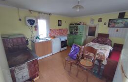 Casă cu teren 2500 mp în Putna