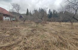 Casă cu teren 2500 mp în Putna