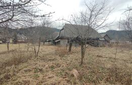 Casă cu teren 2500 mp în Putna