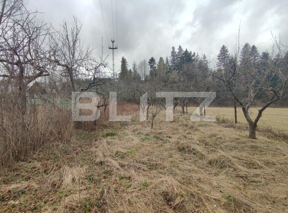 Casa de vânzare 4 camere Radauti - 135825CV | BLITZ Suceava | Poza4