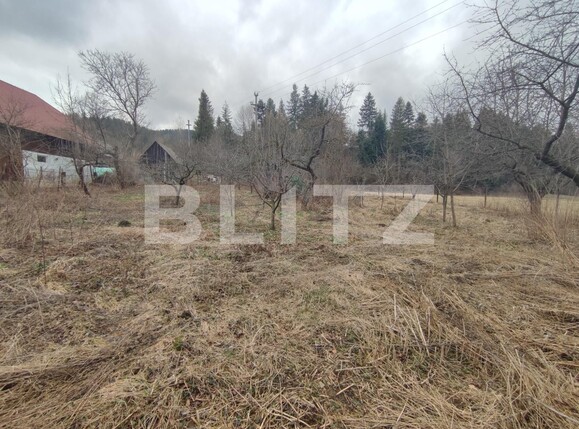 Casa de vânzare 4 camere Radauti - 135825CV | BLITZ Suceava | Poza14