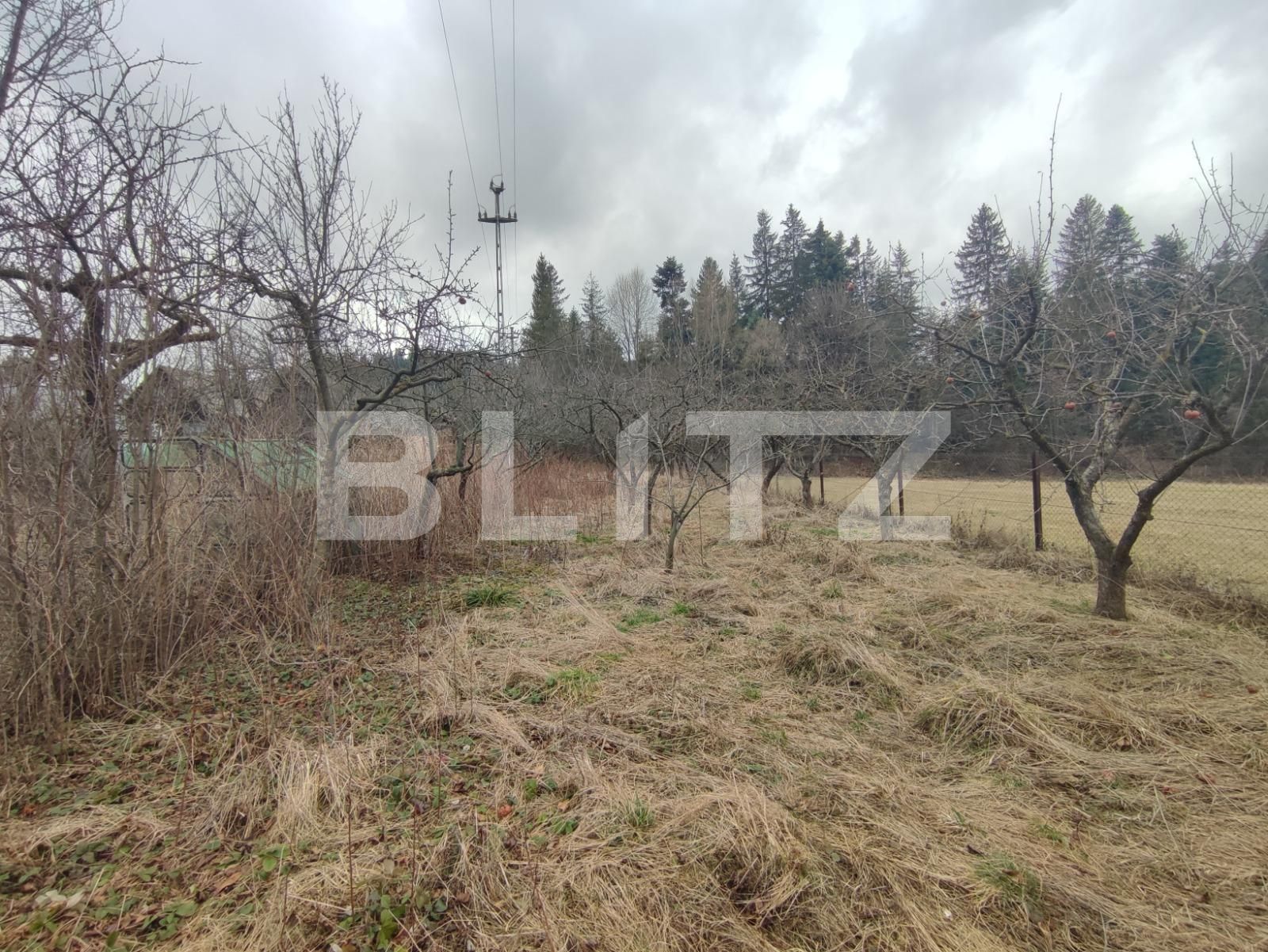 Casa de vânzare 4 camere Radauti - 135825CV | BLITZ Suceava | Poza4